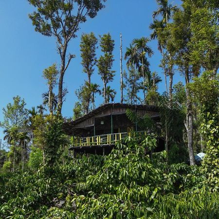 The Mountain Tree Home Wayanad Dış mekan fotoğraf