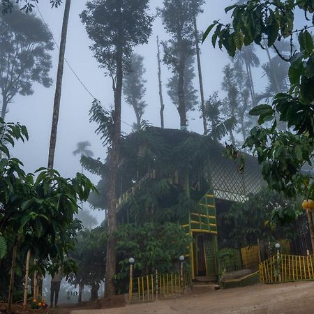 The Mountain Tree Home Wayanad Dış mekan fotoğraf