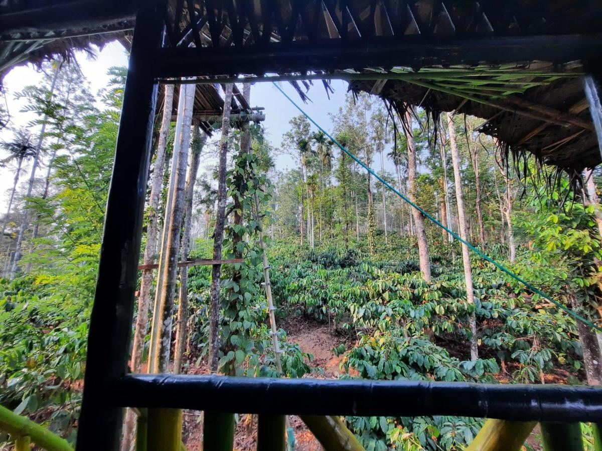 The Mountain Tree Home Wayanad Dış mekan fotoğraf