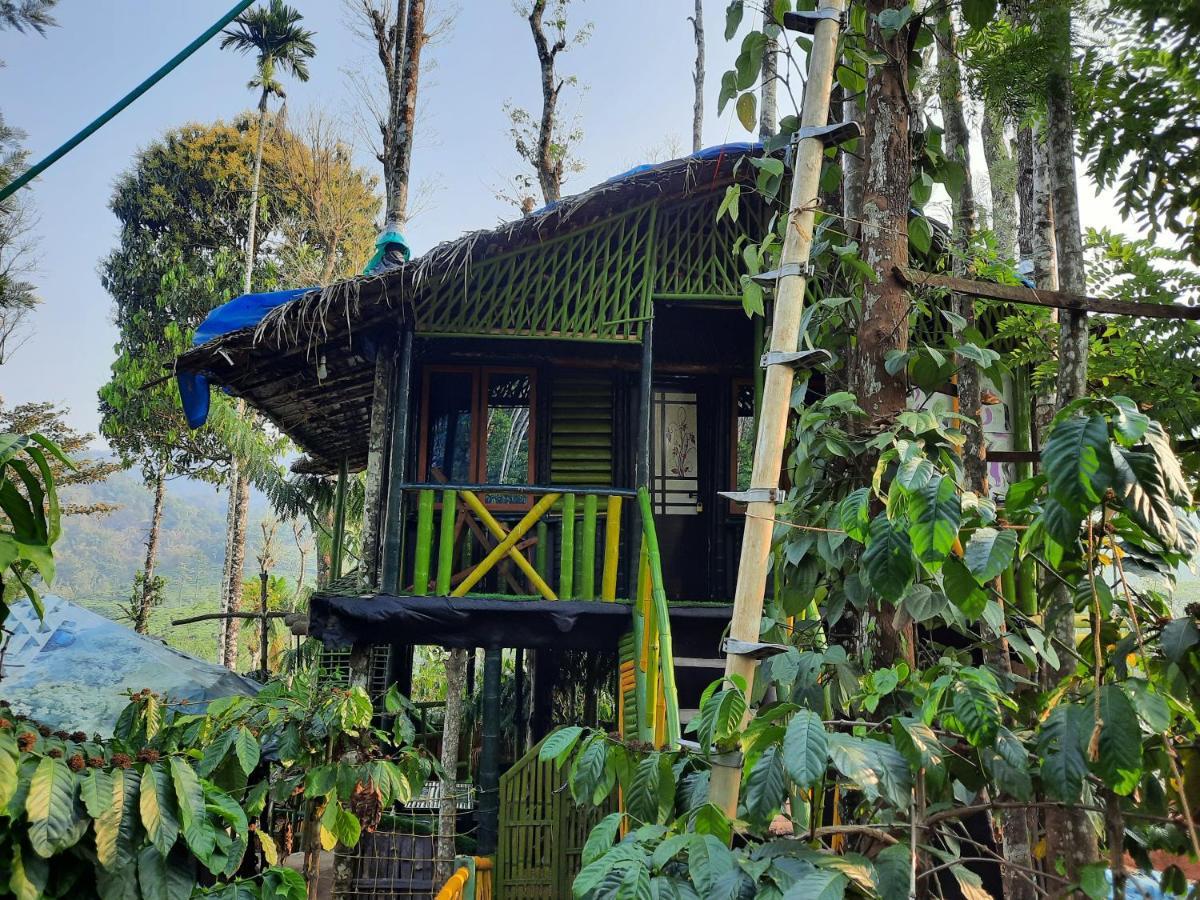 The Mountain Tree Home Wayanad Dış mekan fotoğraf