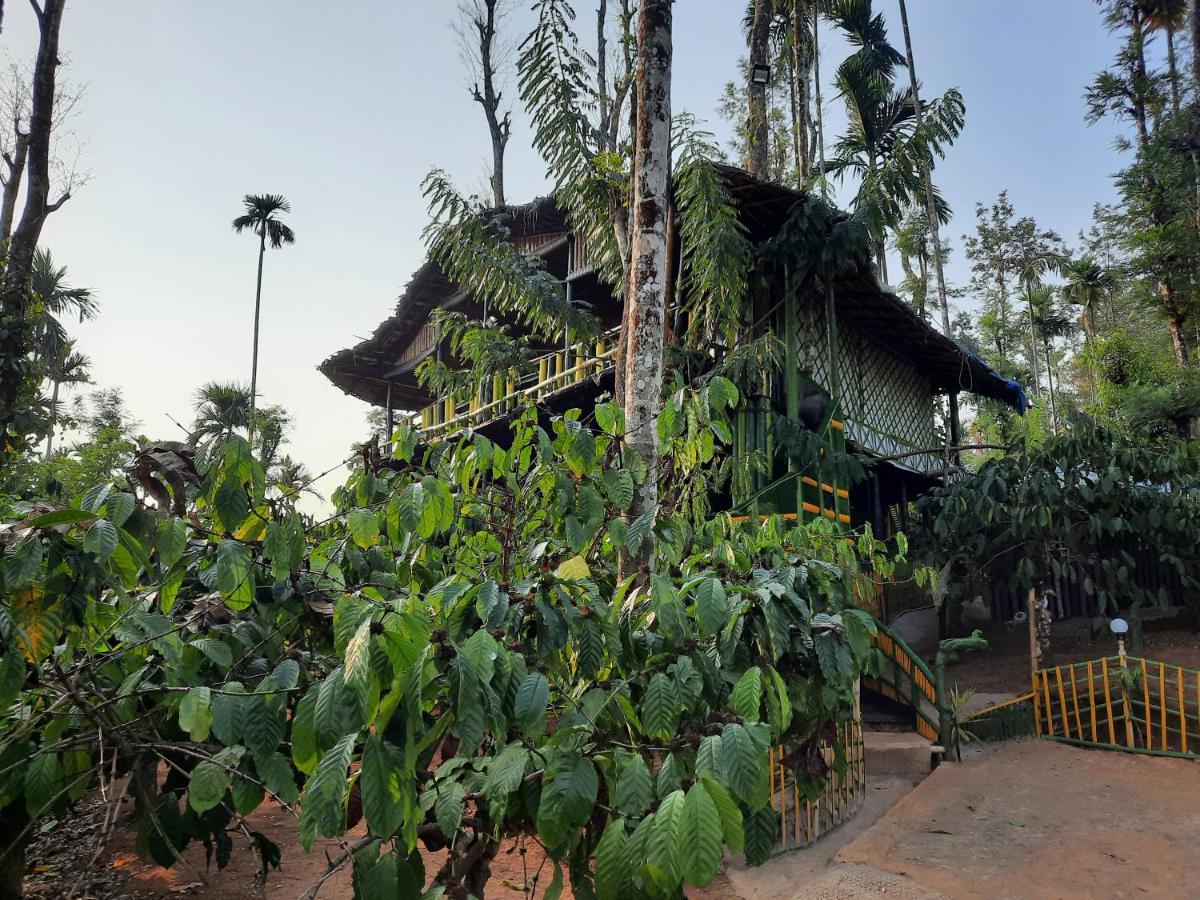 The Mountain Tree Home Wayanad Dış mekan fotoğraf