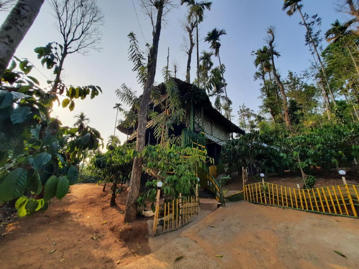 The Mountain Tree Home Wayanad Dış mekan fotoğraf