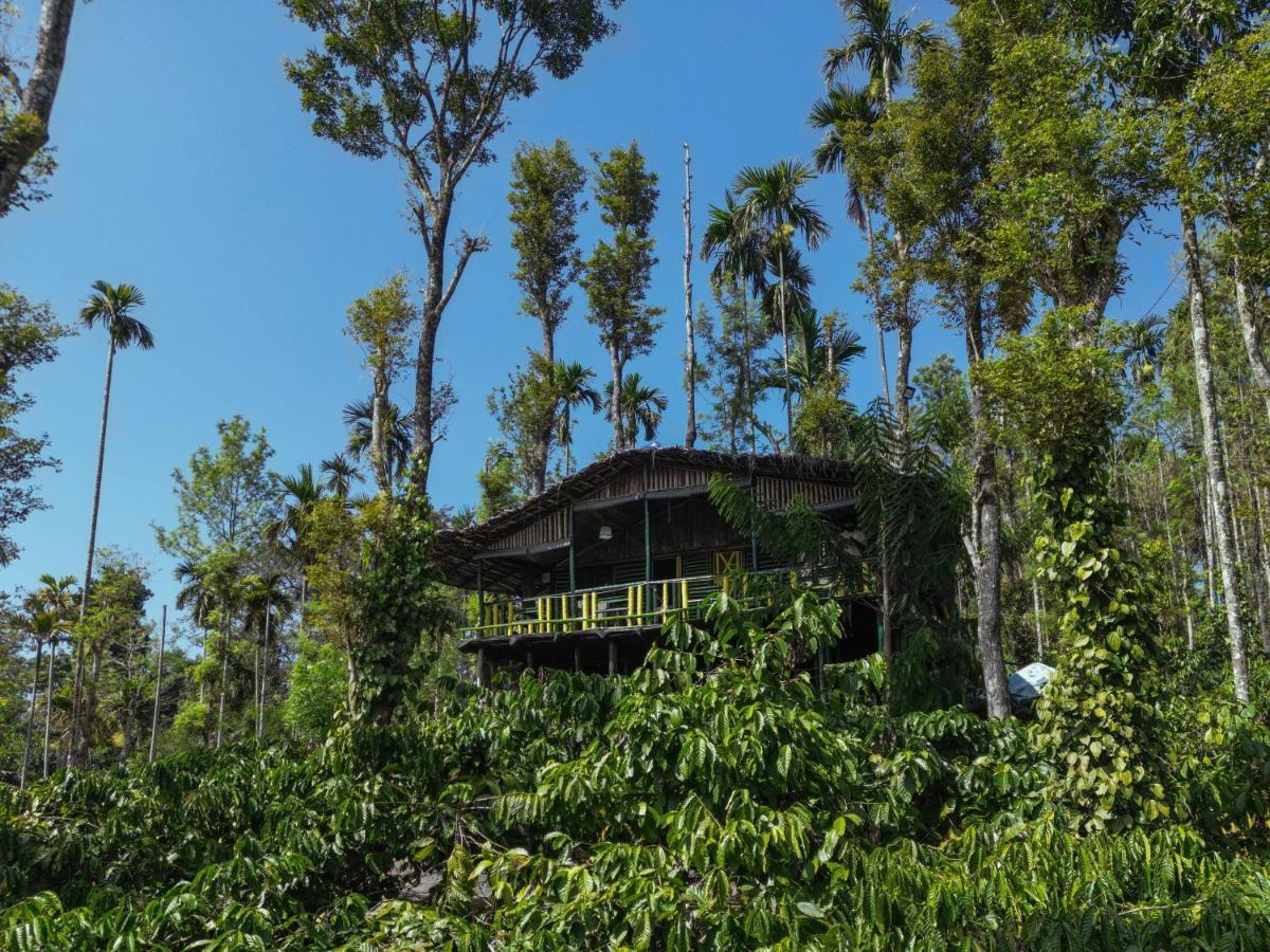 The Mountain Tree Home Wayanad Dış mekan fotoğraf