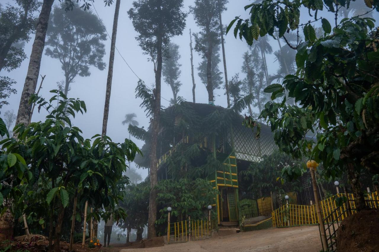 The Mountain Tree Home Wayanad Dış mekan fotoğraf